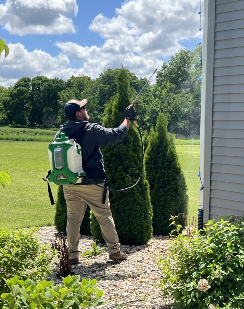 Bug Off Pest control